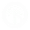 Digital Calm
